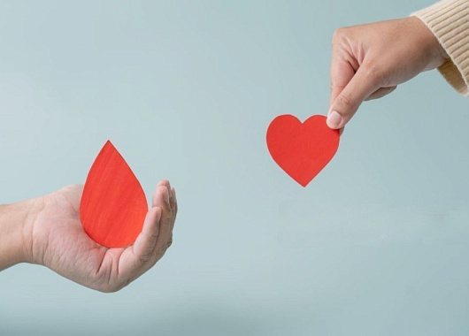 актуальная информация для доноров 08.04.2026